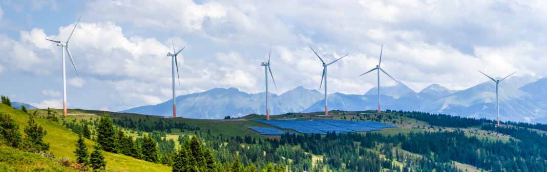 Importance of natural resources Part 4 – above the ground