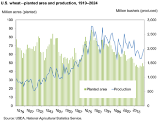 From guano to green revolution – how the Haber-Bosch process fueled urbanization and transformed global agriculture