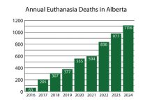 The Global Expansion of Euthanasia: Lessons from History and Practices Worldwide