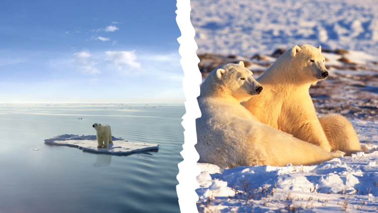 BIG Media's new mantra: don't worry, be happy, and stop wasting your brain space and time!