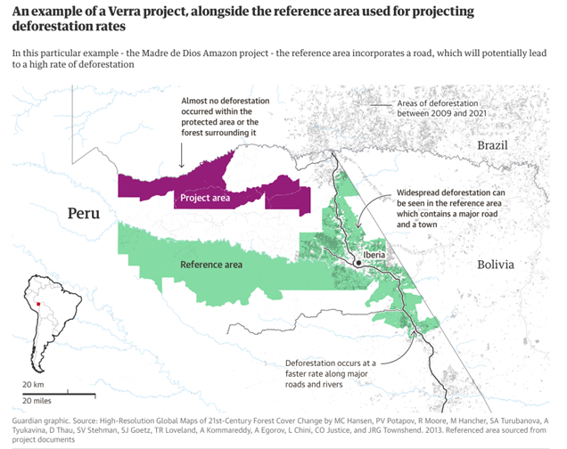 The Phantom Tree – inside carbon's balance-sheet fugazi